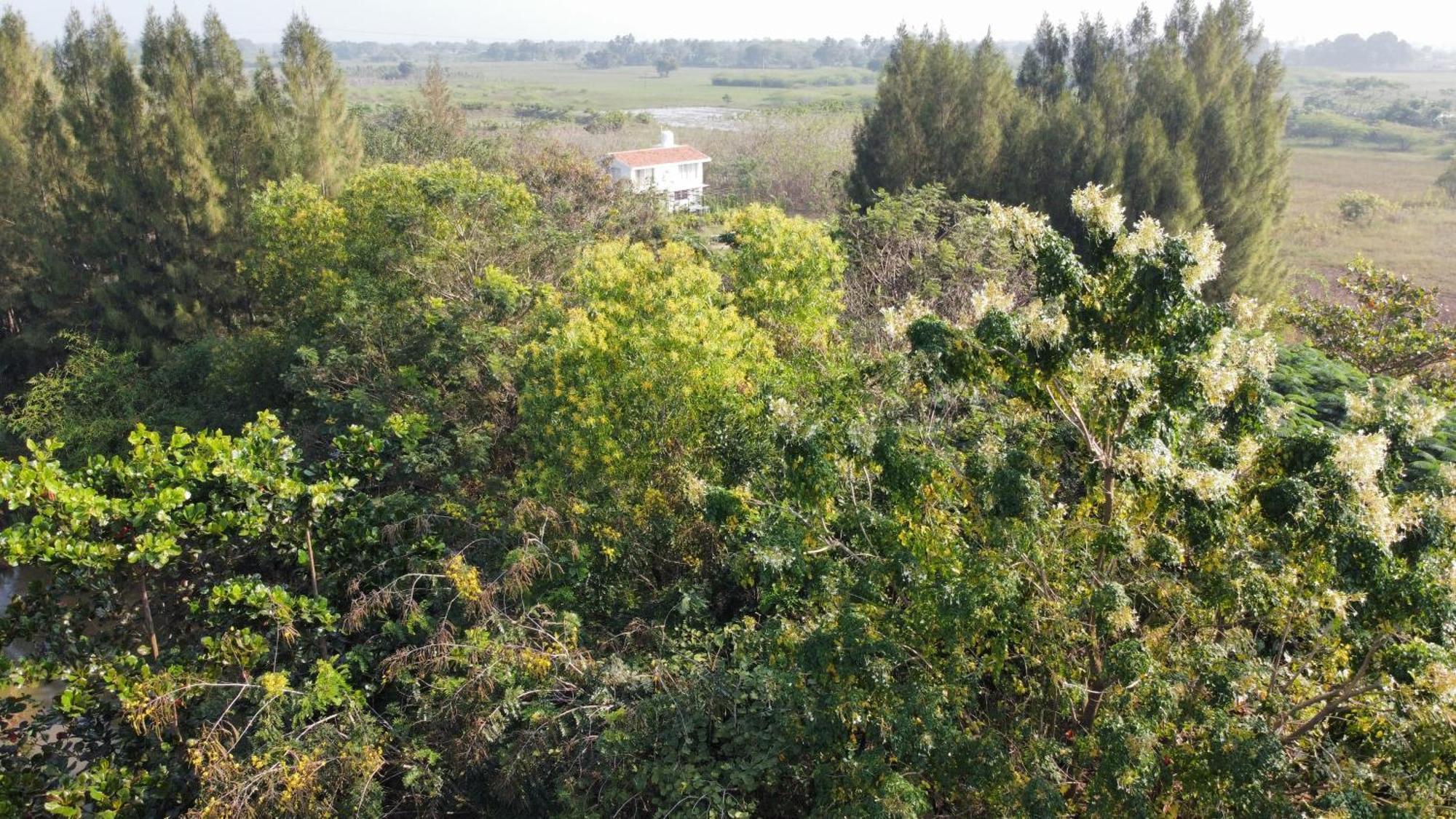Vaksana Farm Stay Gudraippattu Экстерьер фото